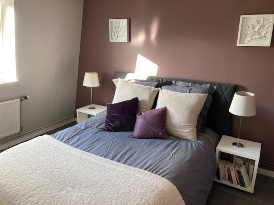 Agreable Et Spacieuse Maison Centre Ville Saint-Omer Exterior photo
